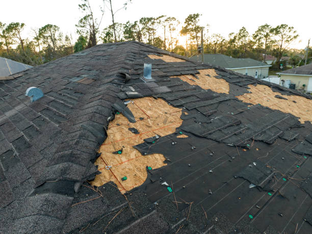 Best Roof Moss and Algae Removal  in Stromsburg, NE